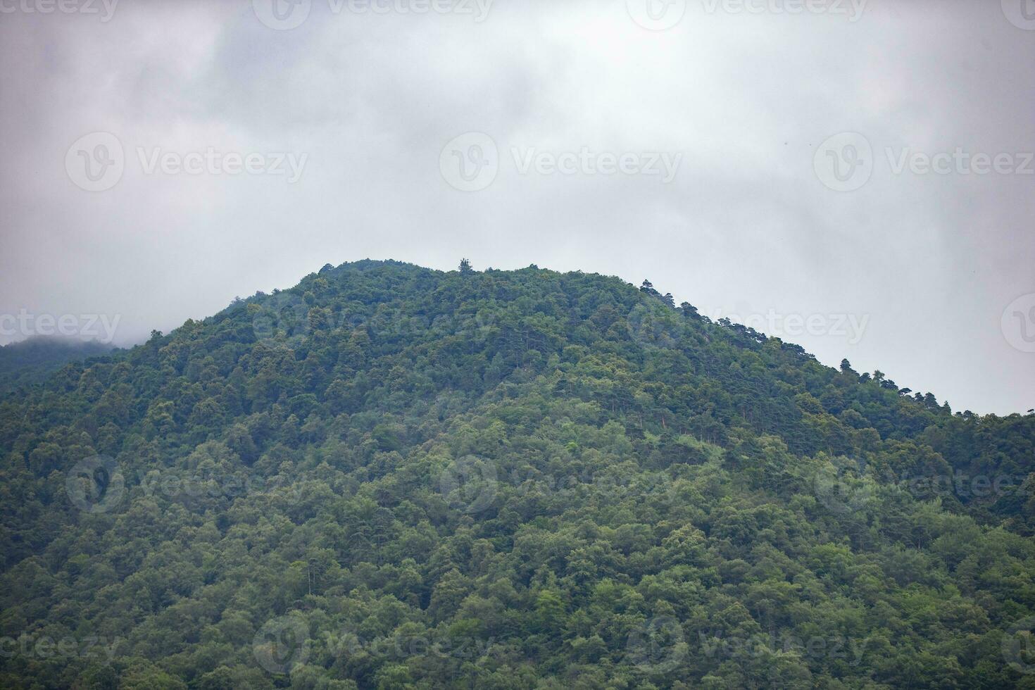 Mountainous area overgrown with forests. photo