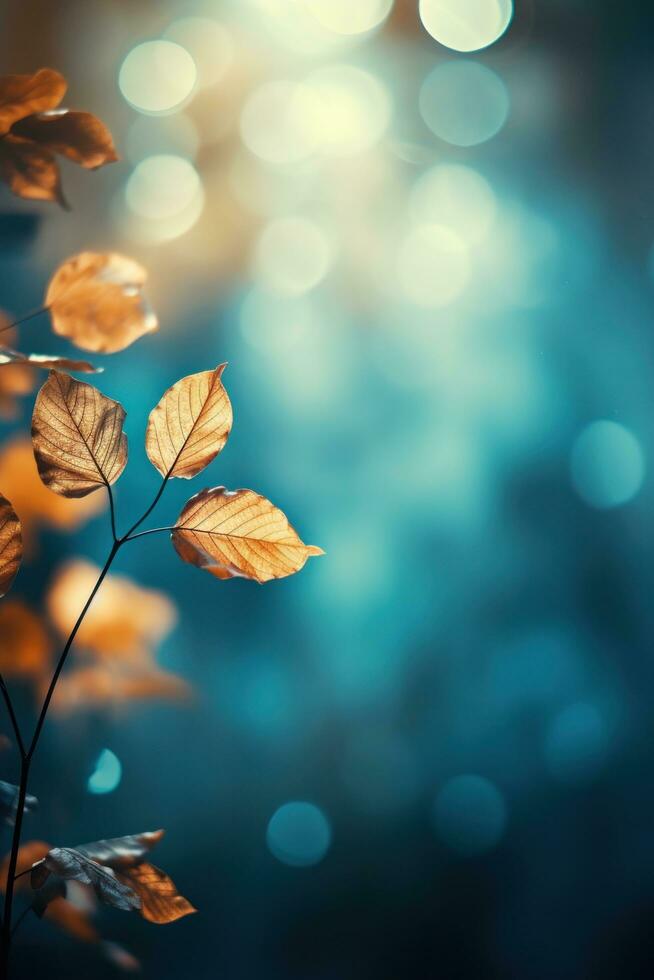 otoño antecedentes con que cae hojas foto