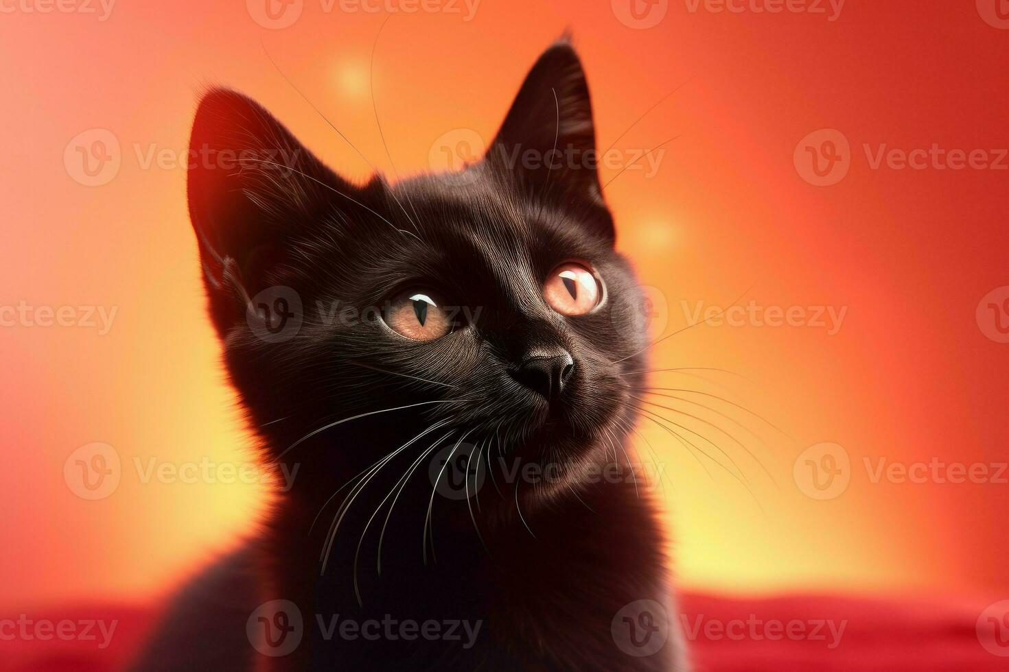 Cat red light. Generate Ai photo