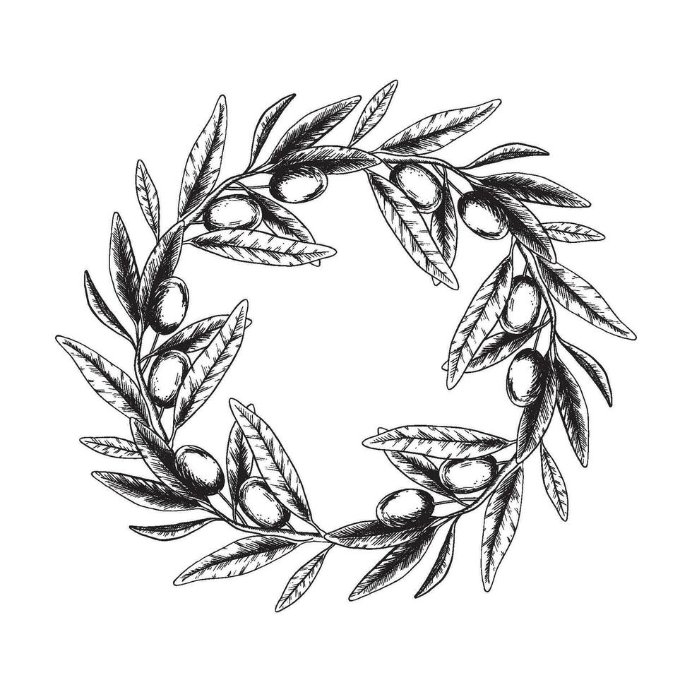 Olive branches, leaves and fruits. Frame of branches olive tree. Vector illustration in sketch style. For menu, packaging design, wedding invitation, save the date or greeting card.