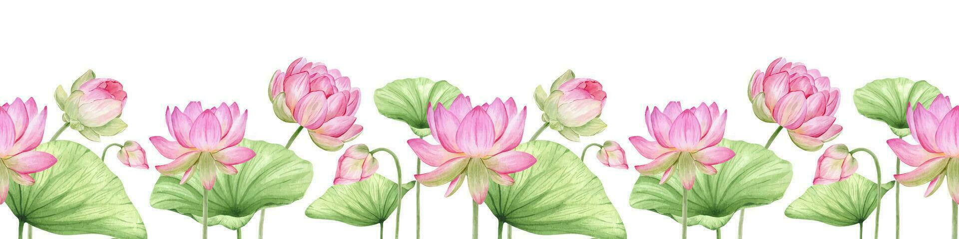 Pink lotus flowers and leaves. Watercolor seamless border. Tropical flora. Oriental traditional pattern. Isolated. For the design of goods, packaging, invitations. postcards vector