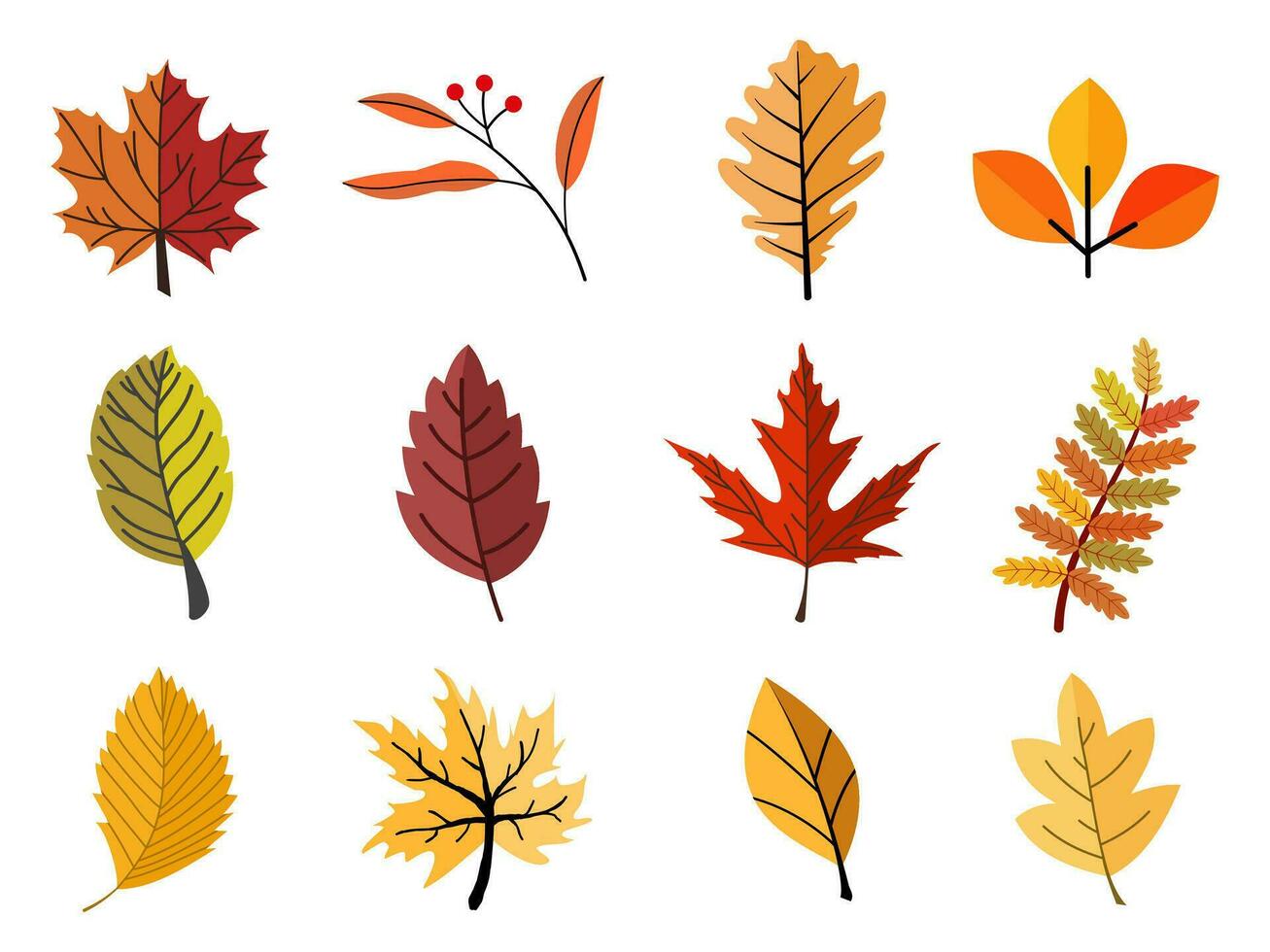 leaves plant colorful and elements for autumn season on white background. vector