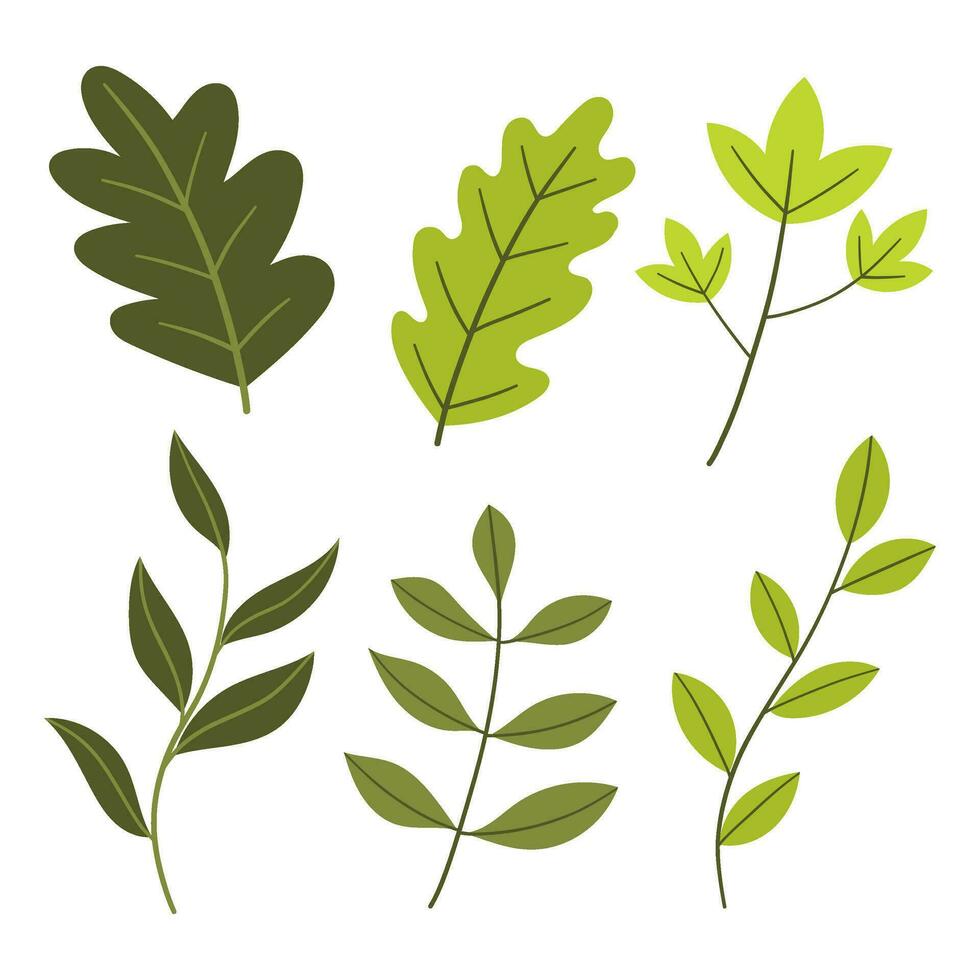 verde hojas vector ilustración