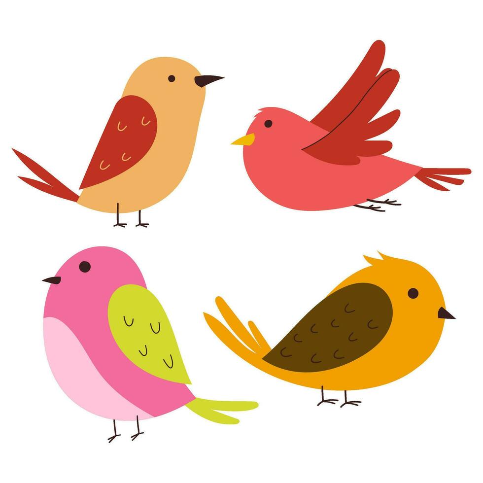 birds collection vector illustration