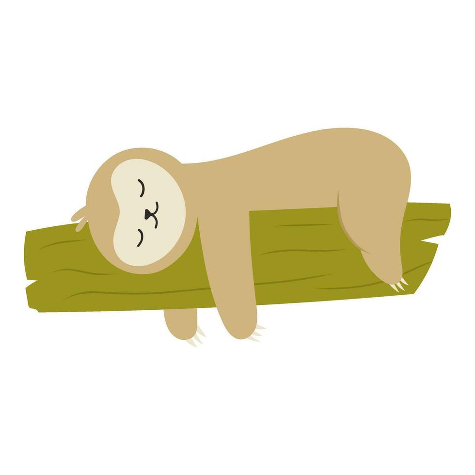 sloth sleeping animal vector illustration