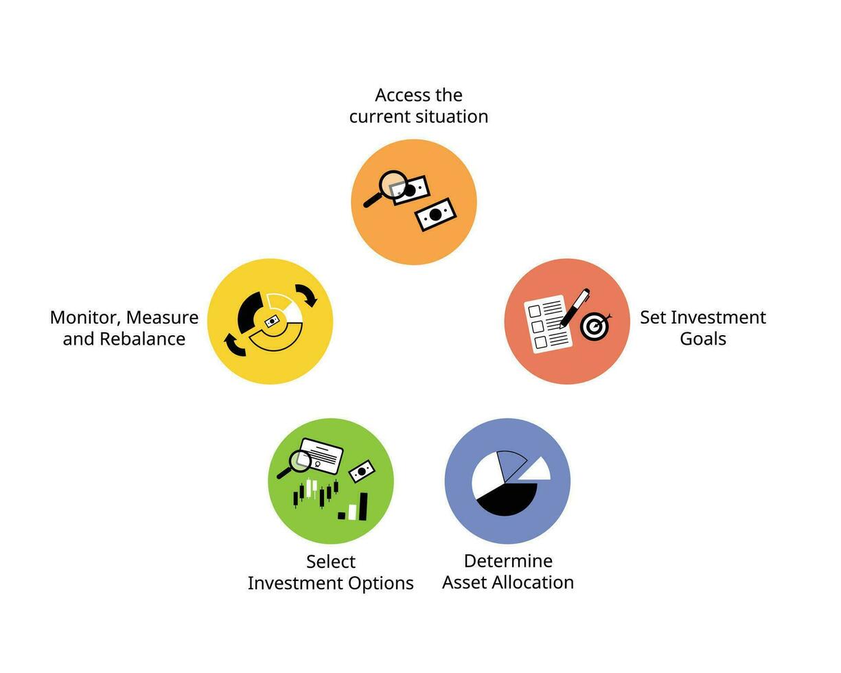 step to build or create financial portfolio for investment profile to invest individually vector