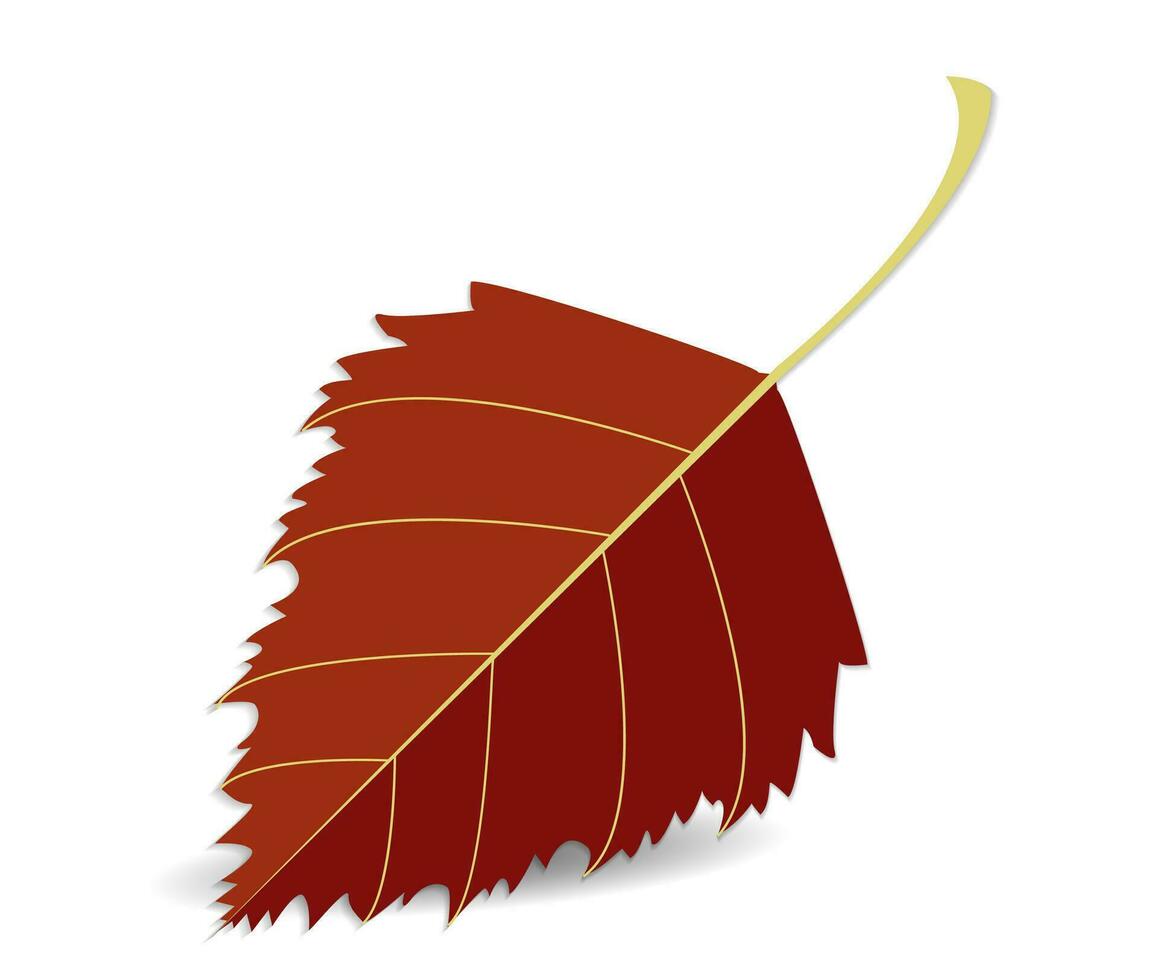 Autumn red leaf, detailed, closeup, birch leaf isolated on white background with shadow vector