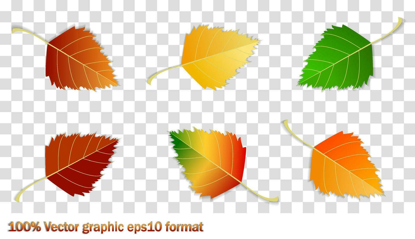 Set of autumn leaves, different colors with shadow. Concept - autumn, autumn mood. Isolated autumn elements for design. birch leaves vector