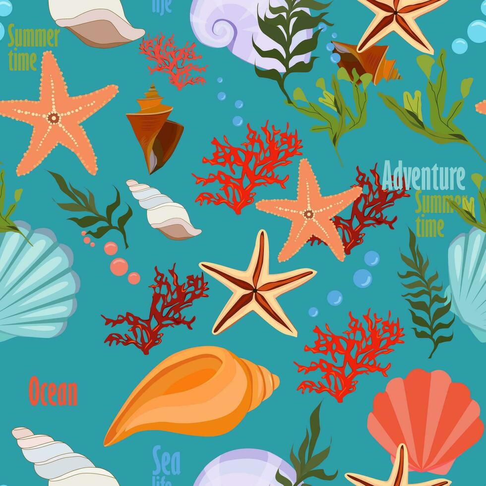 a pattern on a marine theme, shells, algae, corals vector