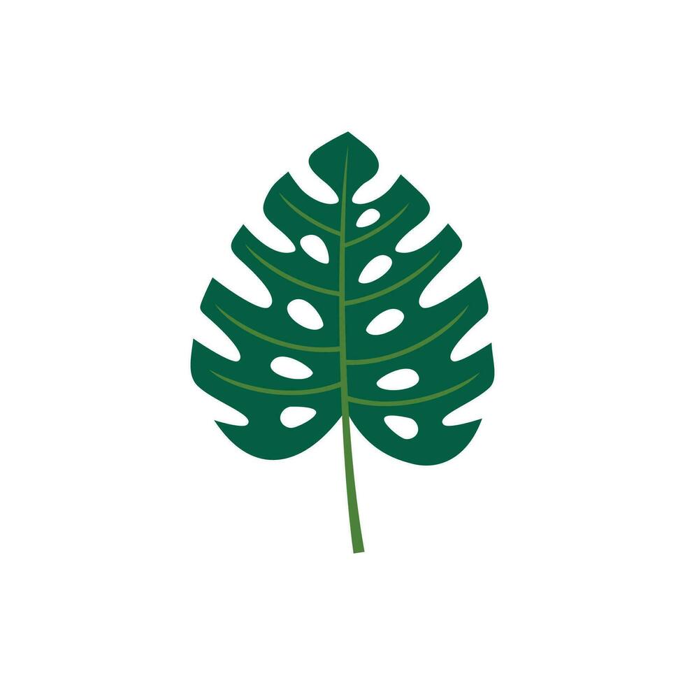 Tropical green leaves isolated  illustration vector