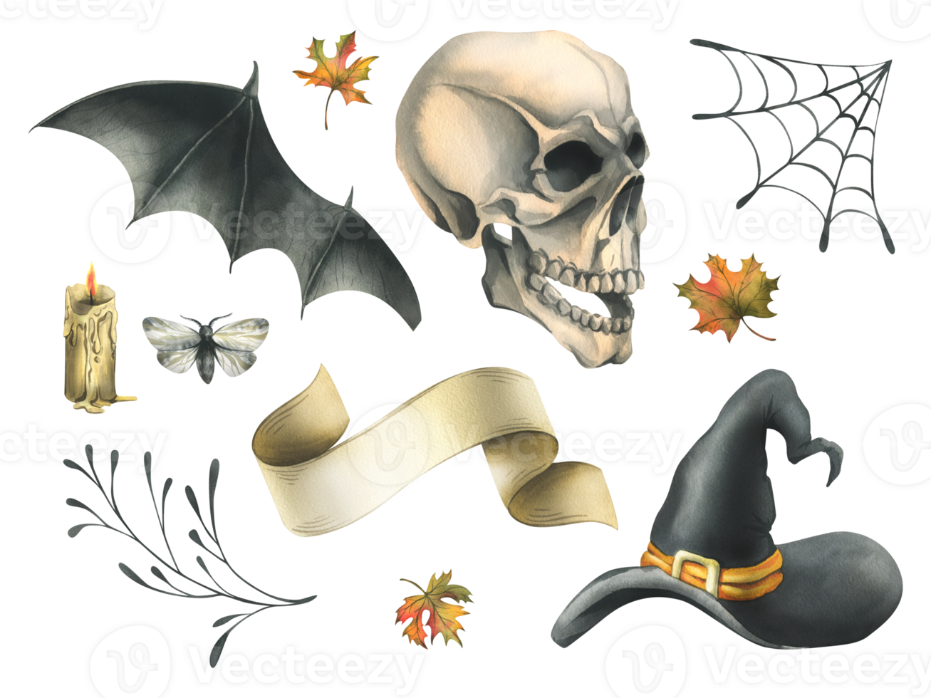 Human skull with bat wings, moth, paper scroll, witch hat, cobweb and autumn maple leaves. Hand drawn watercolor illustration for Halloween. Set of isolated elements png