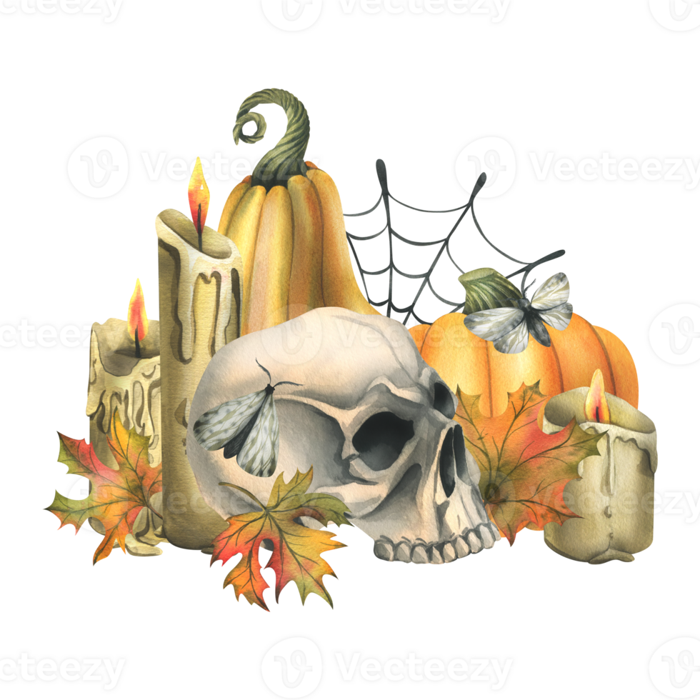 Human skull with orange pumpkins, candles, night moths, cobwebs and autumn leaves. Hand drawn watercolor illustration for Halloween and Day of the Dead. Isolated composition png