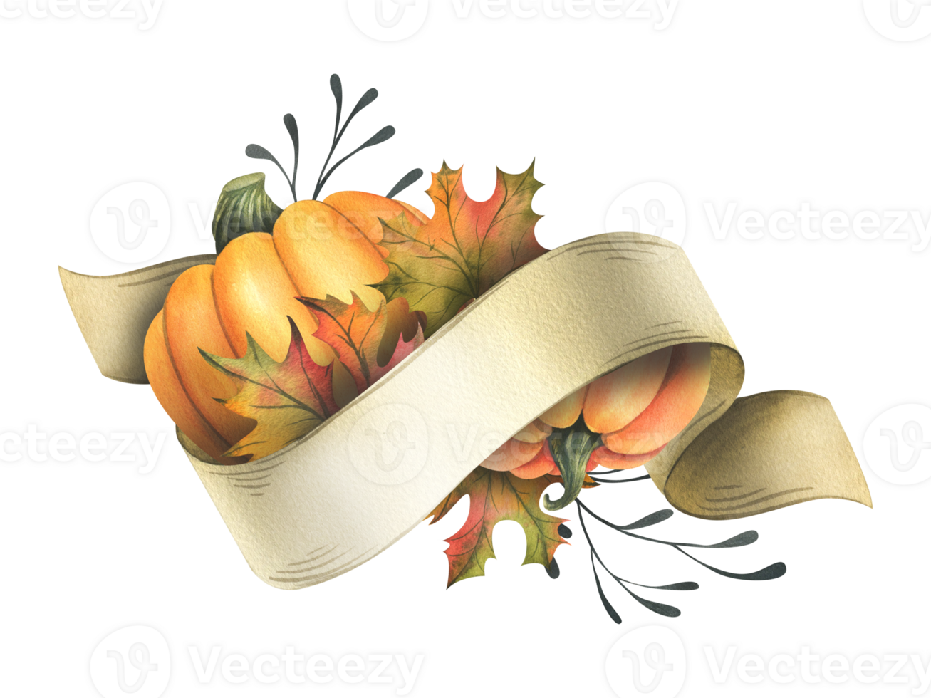 Orange autumn pumpkins with maple leaves, twigs and paper roll blank template for text. Watercolor illustration, hand drawn. Isolated composition png
