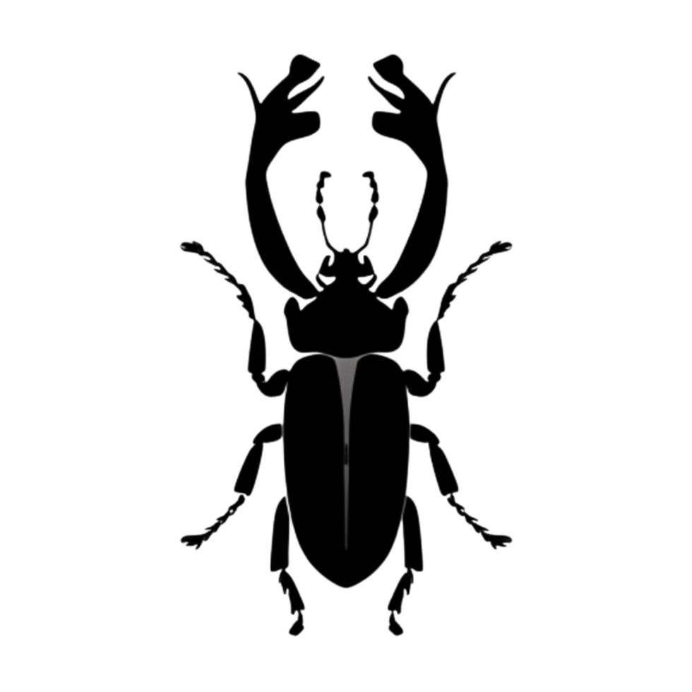 Beetle Silhouette Illustration PNG Transparent Background