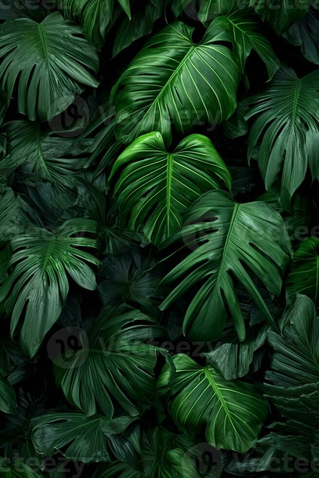 green tropical background with monstera leaves.ai generated photo