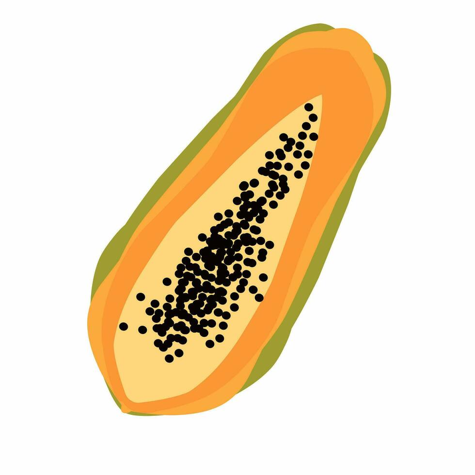 Vector illustration of papaya or papaya halves isolated with white background