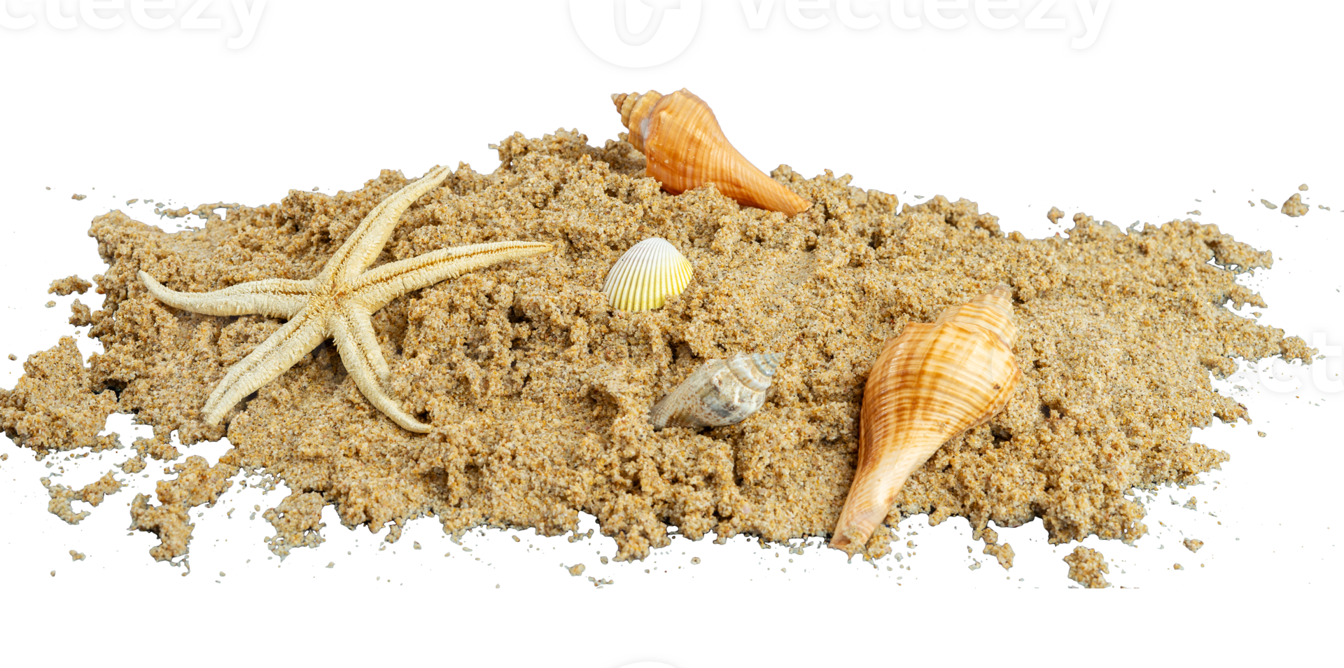 sand with shell isolated element png