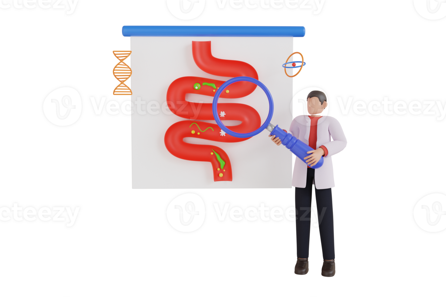 3d ilustração do médico estômago inspeção de gastroenterologista doutor. digestivo sistema checar. conceito do gastroenterologia, cuidados de saúde e remédio png