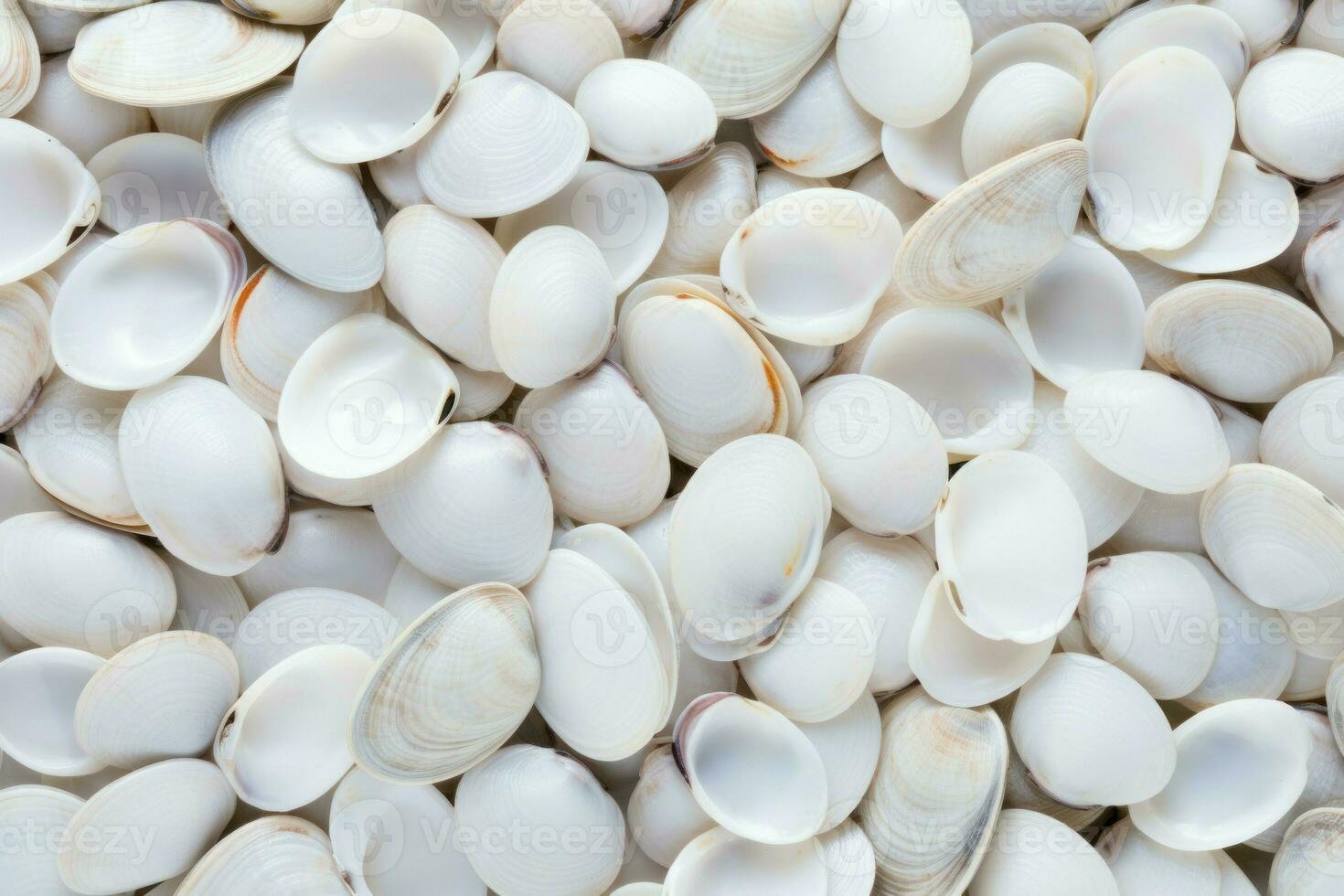 White shellfish snail pattern. Generate Ai photo