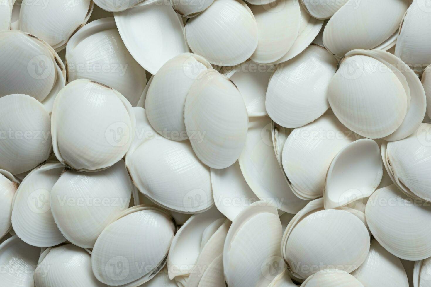 White shellfish spa pattern. Generate Ai photo