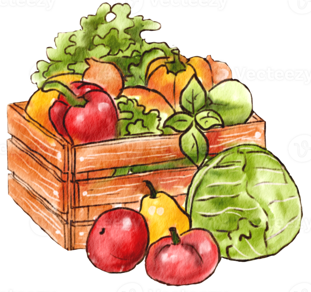 Watercolor Painting of Fresh Vegetables and Fruits in a Rustic Basket - Farm-Fresh Artistry png