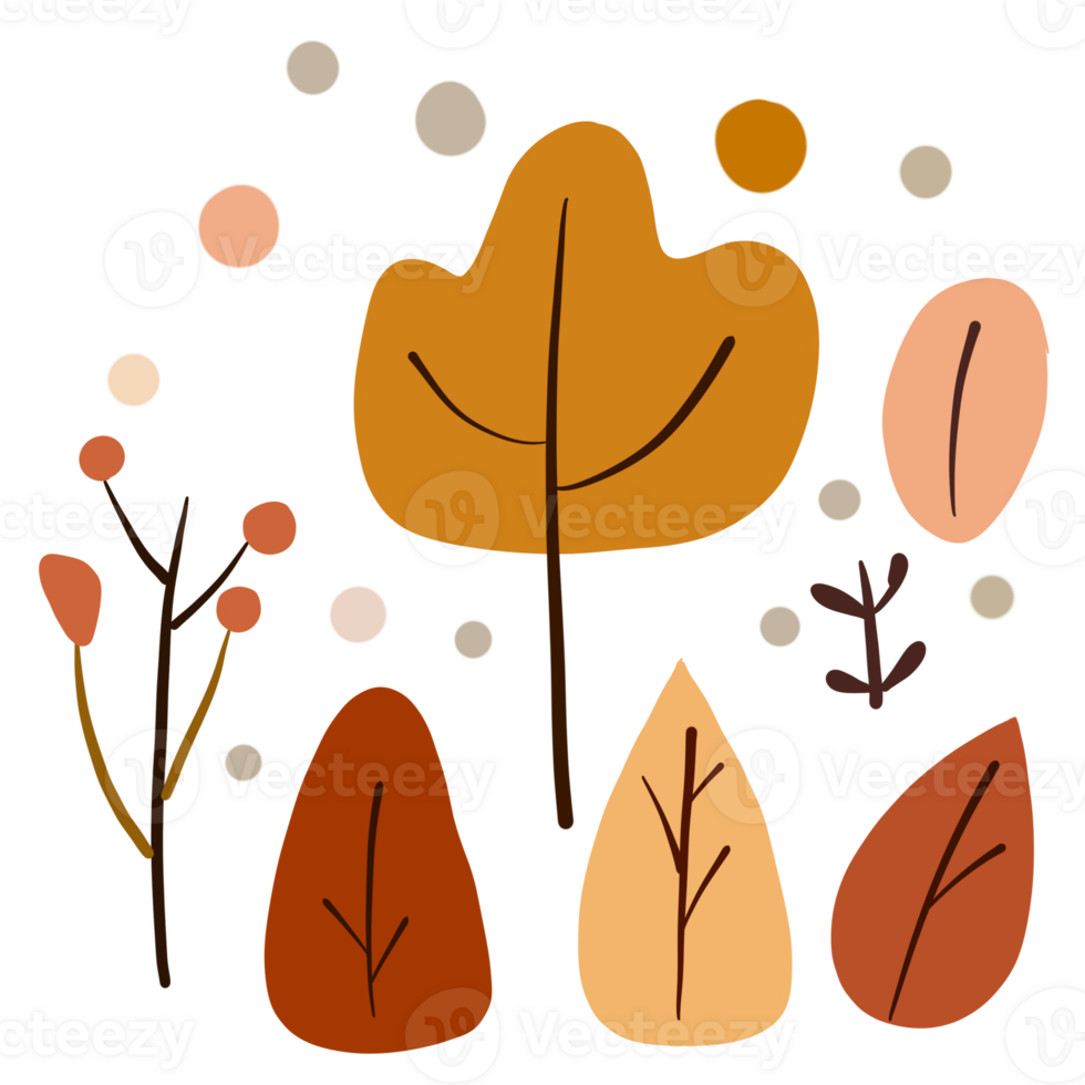 leaf autumn concept png
