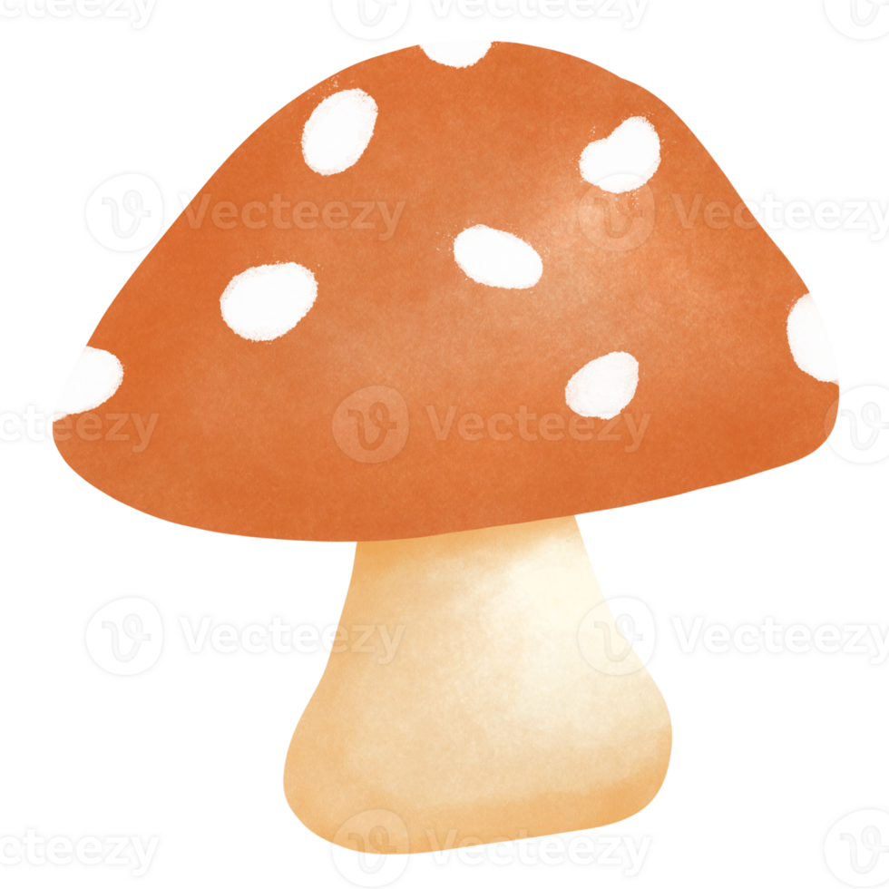 Red poison mushroom png