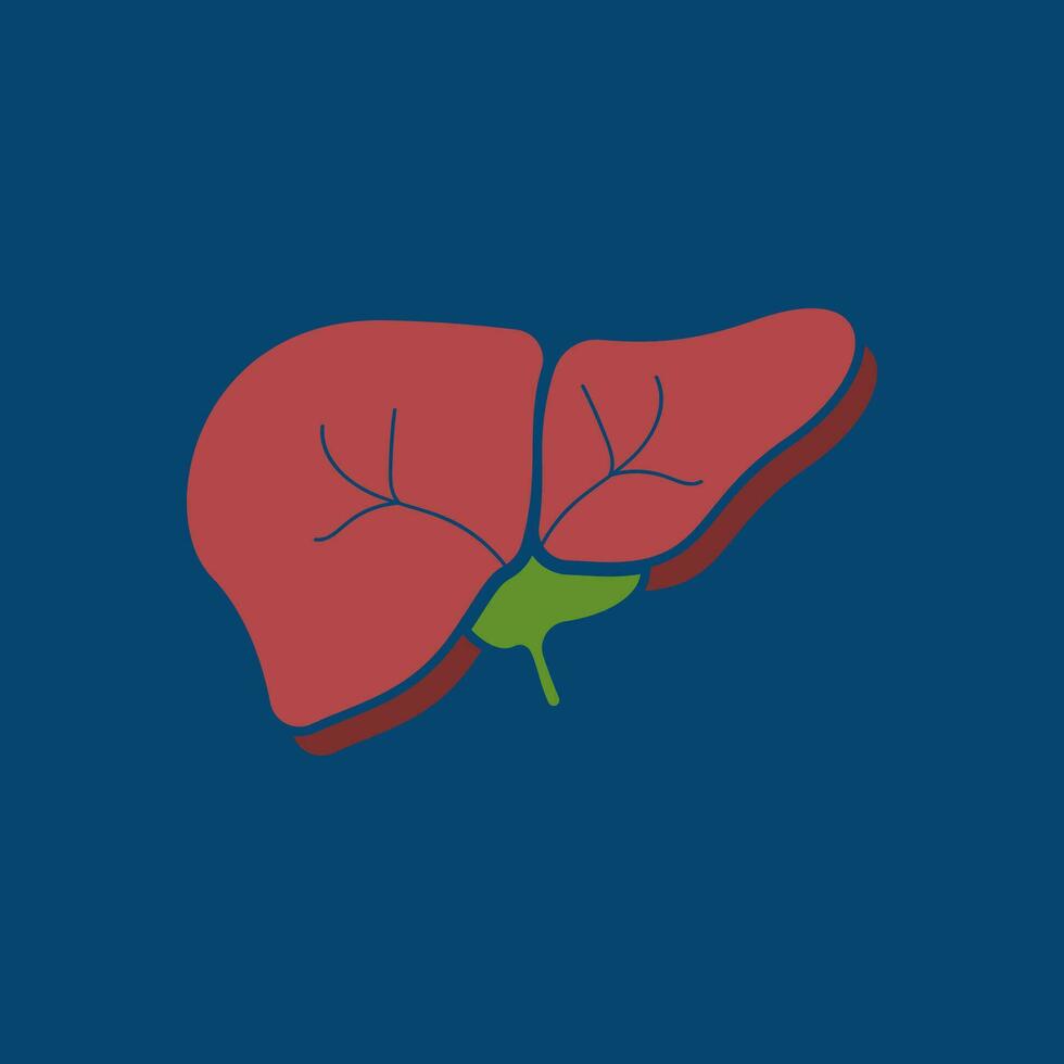 Liver medical logo vector template illustration