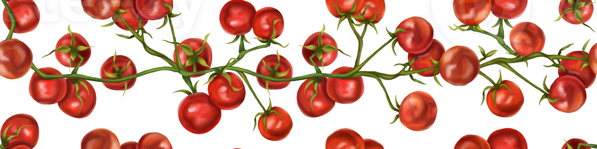 Seamless hand drawn pattern with cherry tomatoes. Vegetable background for textiles, fabrics, banner, wrapping paper, and other designs. Digital illustration png