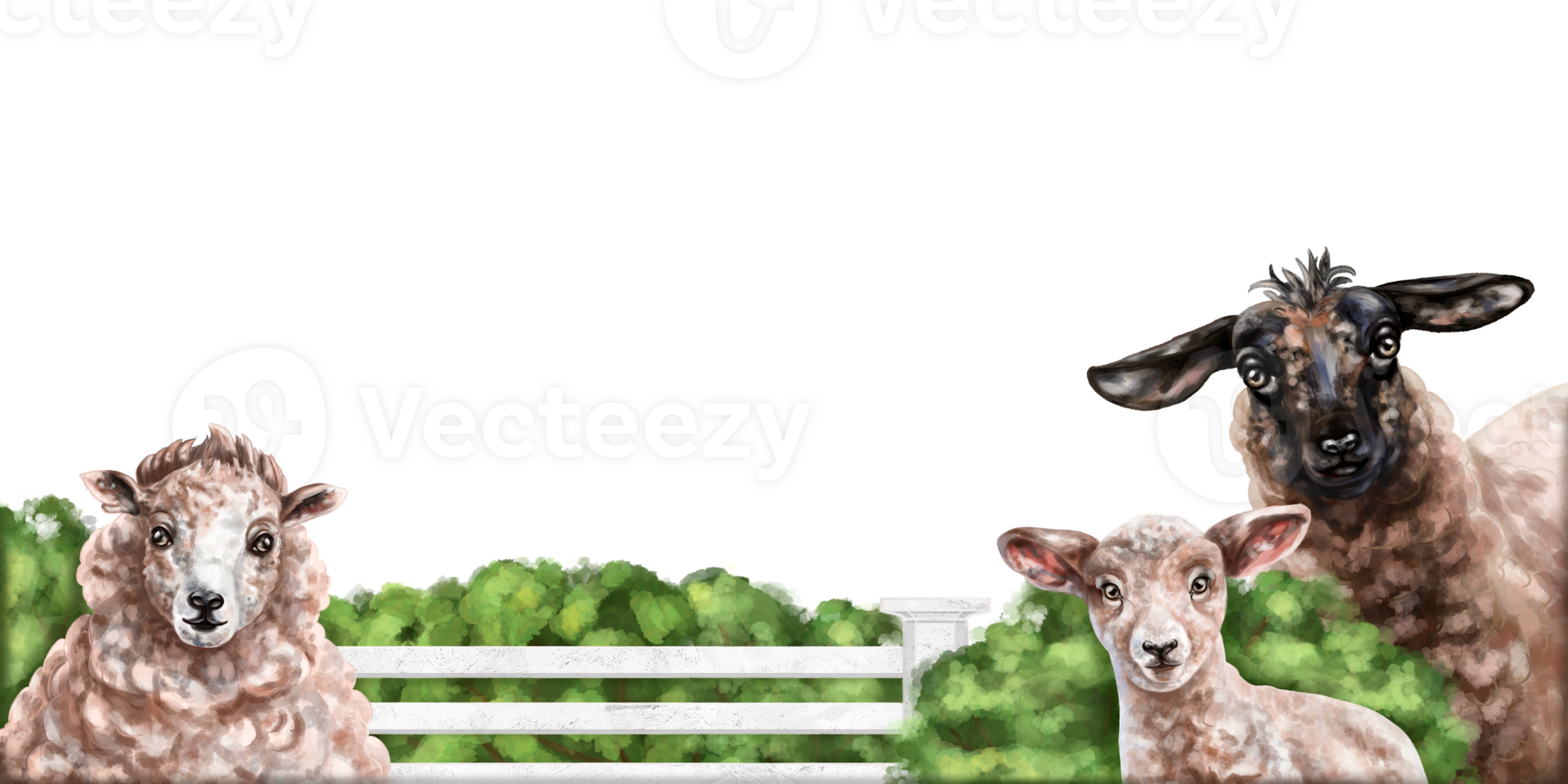 Horizontal frame with a composition of sheep and a lamb in a pen. Farm