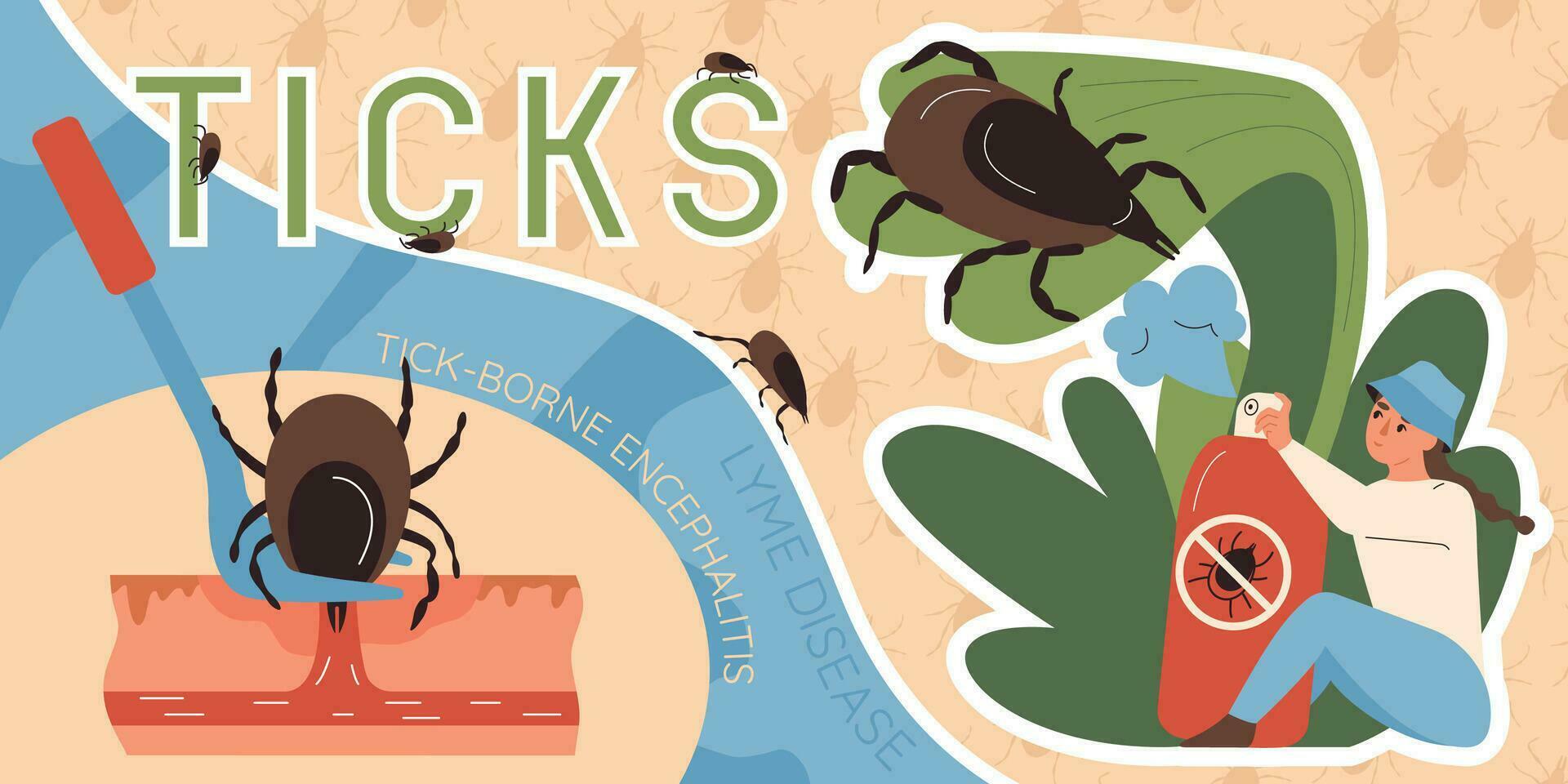 Insects Ticks Collage vector