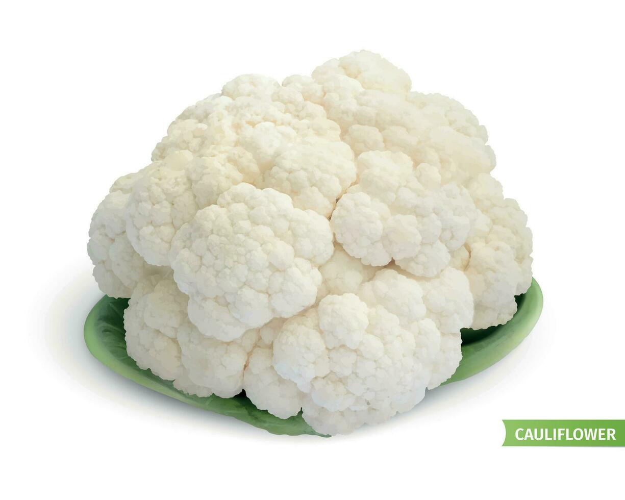 Cauliflower White Background Composition vector