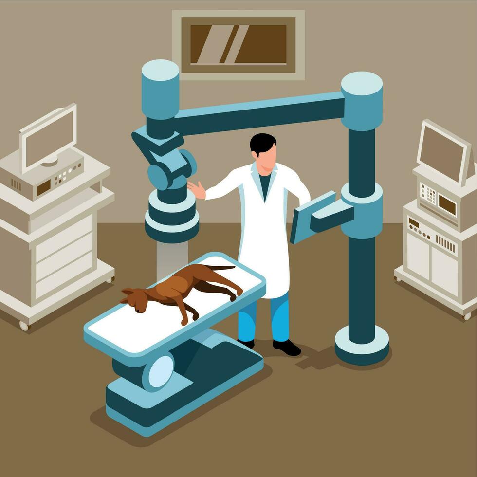 Isometric Veterinary Illustration vector