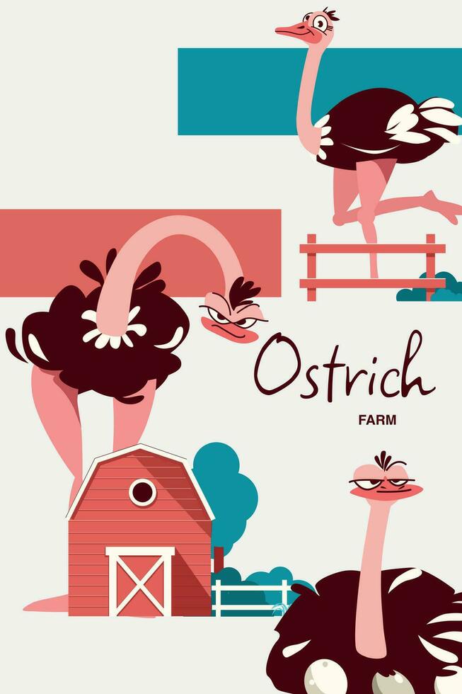 Ostrich Farm Collage vector