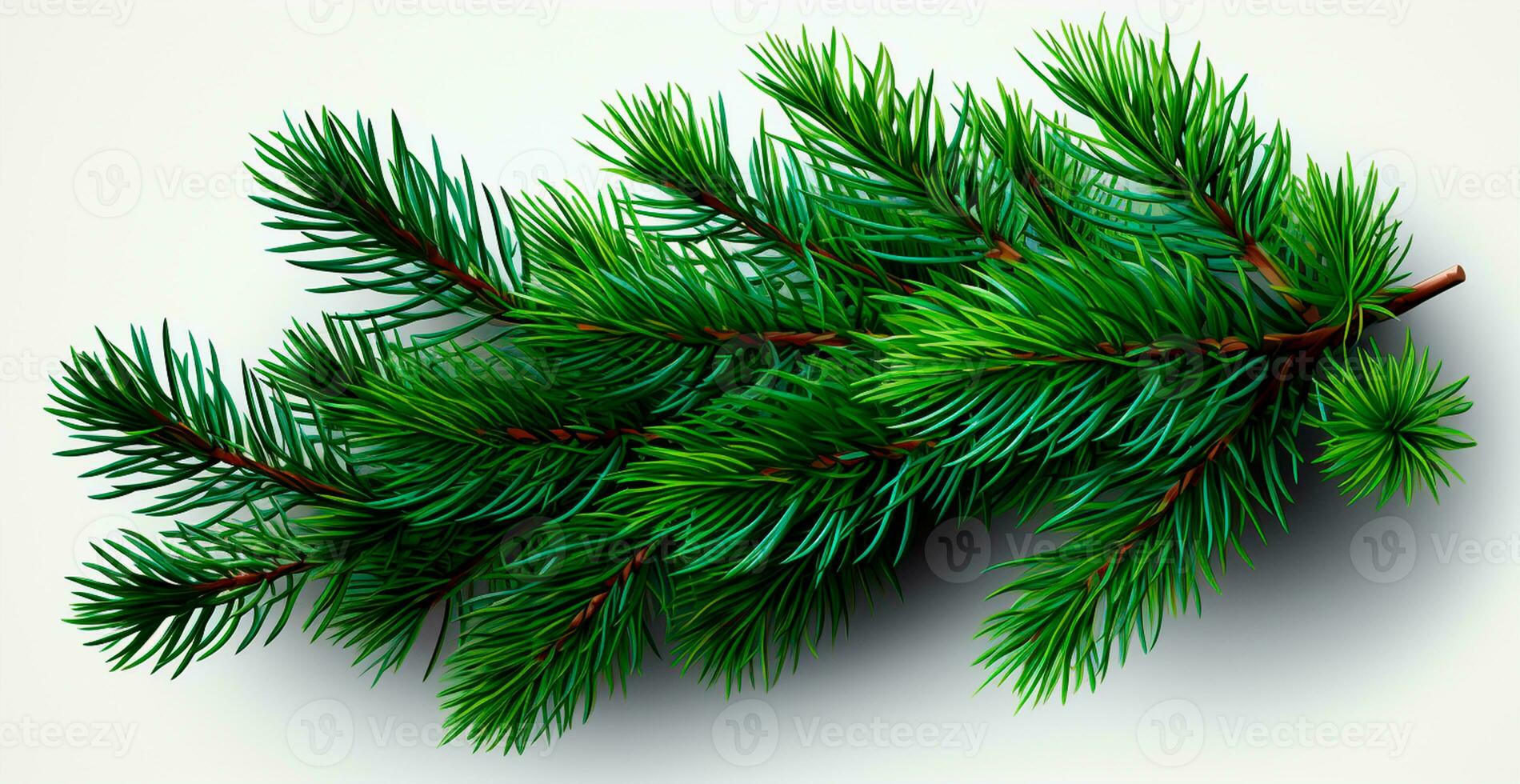 Top view of green fir branch, fir tree with needles isolated on white background - AI generated image photo