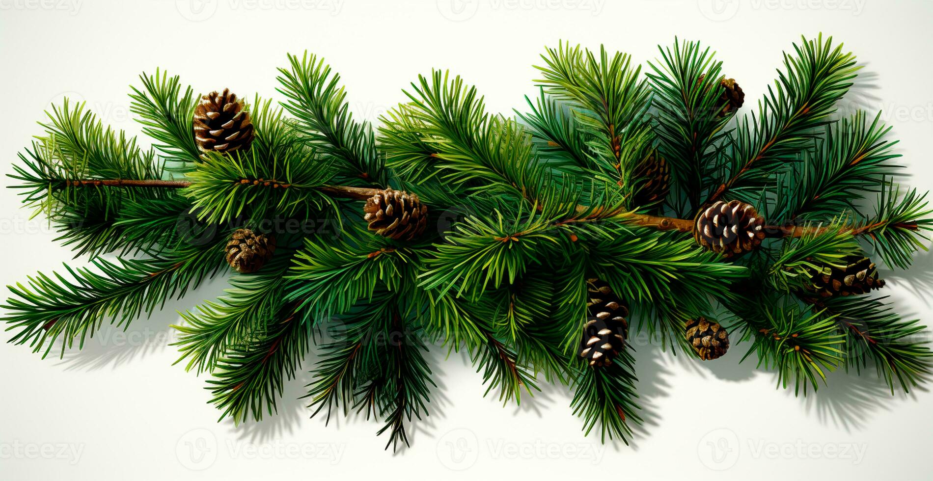 Top view of green fir branch, fir tree with needles isolated on white background - AI generated image photo