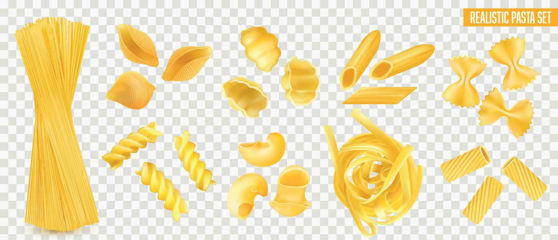 Realistic Pasta Set vector