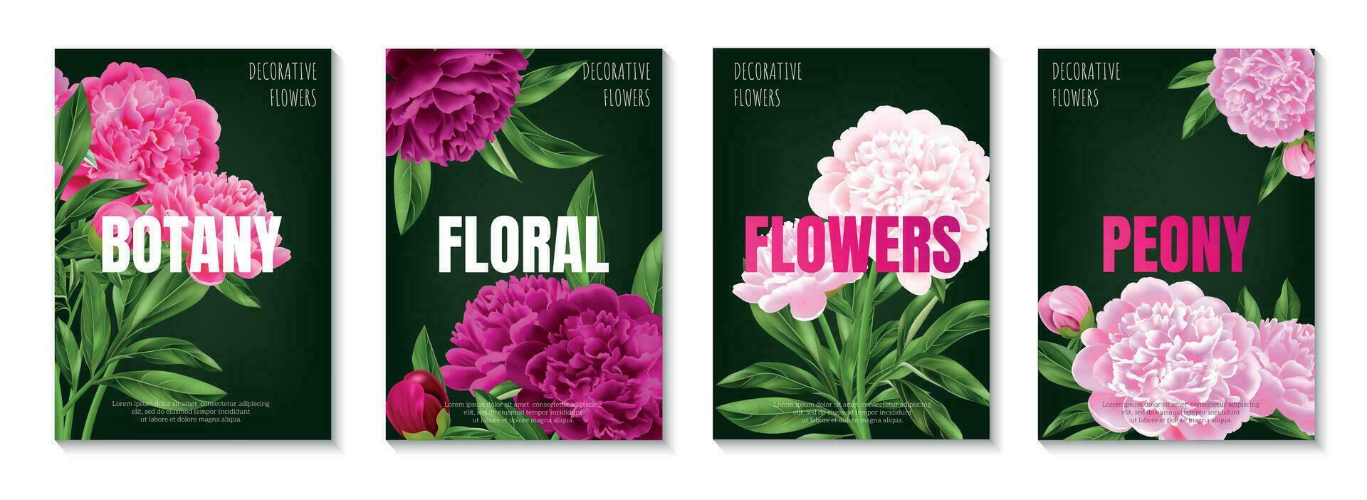 Peonies Posters Set vector