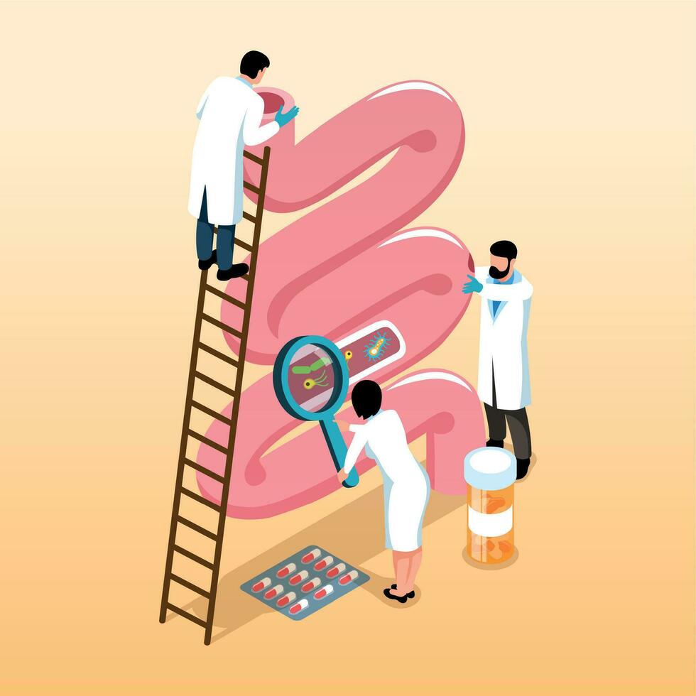 Gastroenterologists Isometric Concept vector