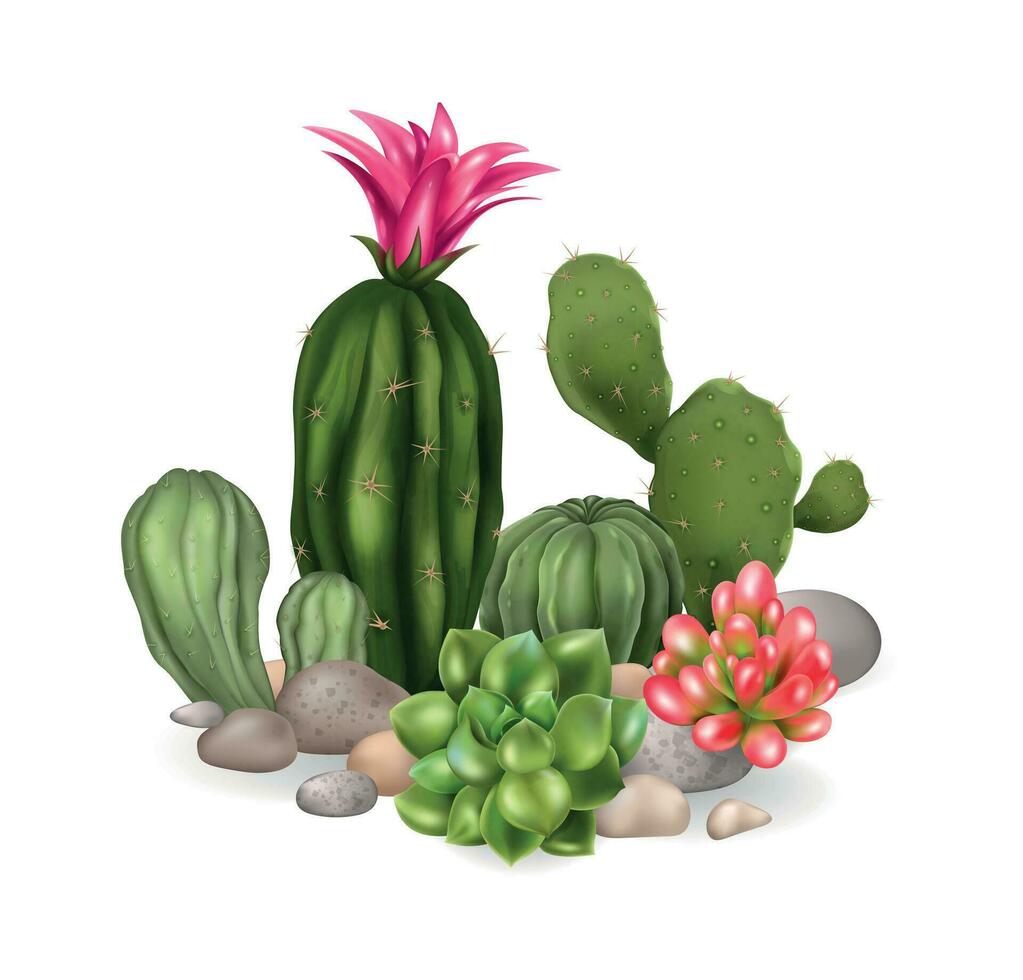 Cactus Blossom Realistic Composition vector