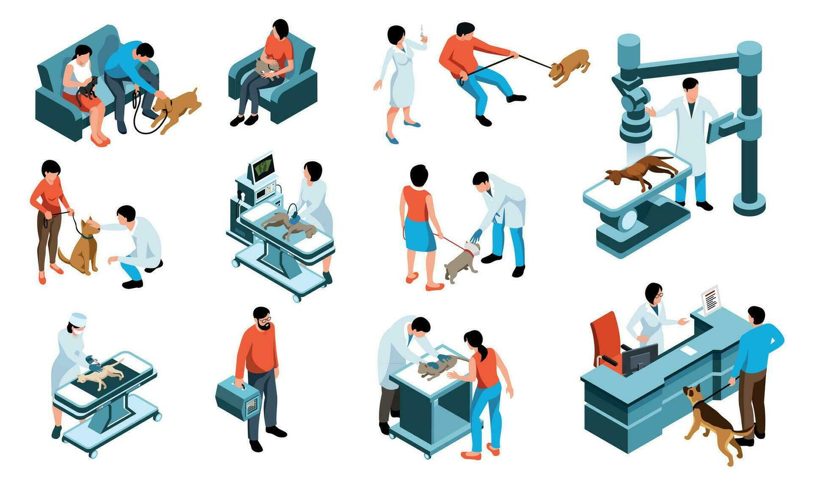 Veterinary Isometric Set vector