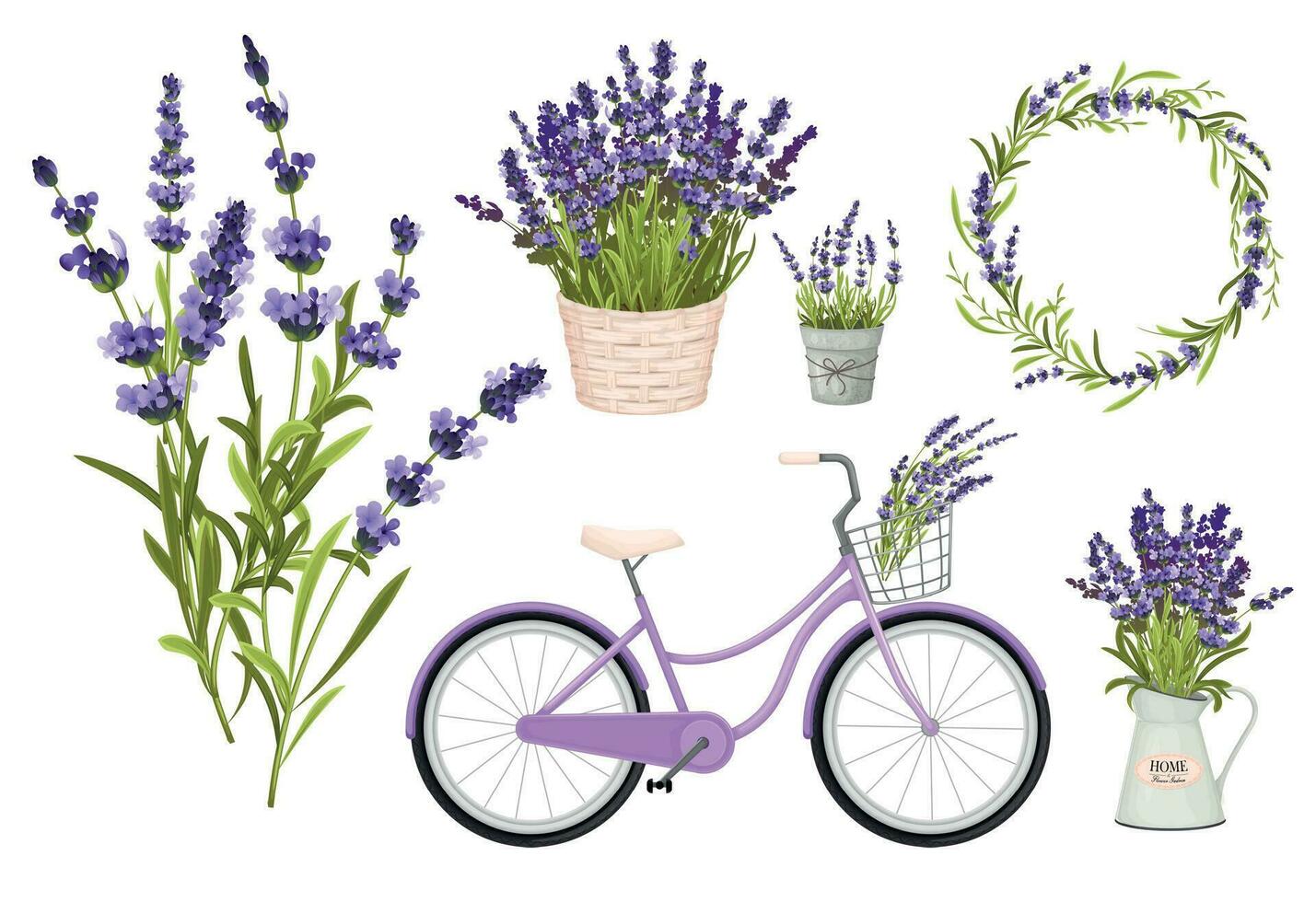 lavanda flores icono conjunto vector