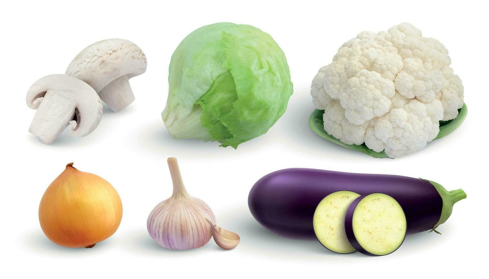 Vegetables Realistic Image Set vector