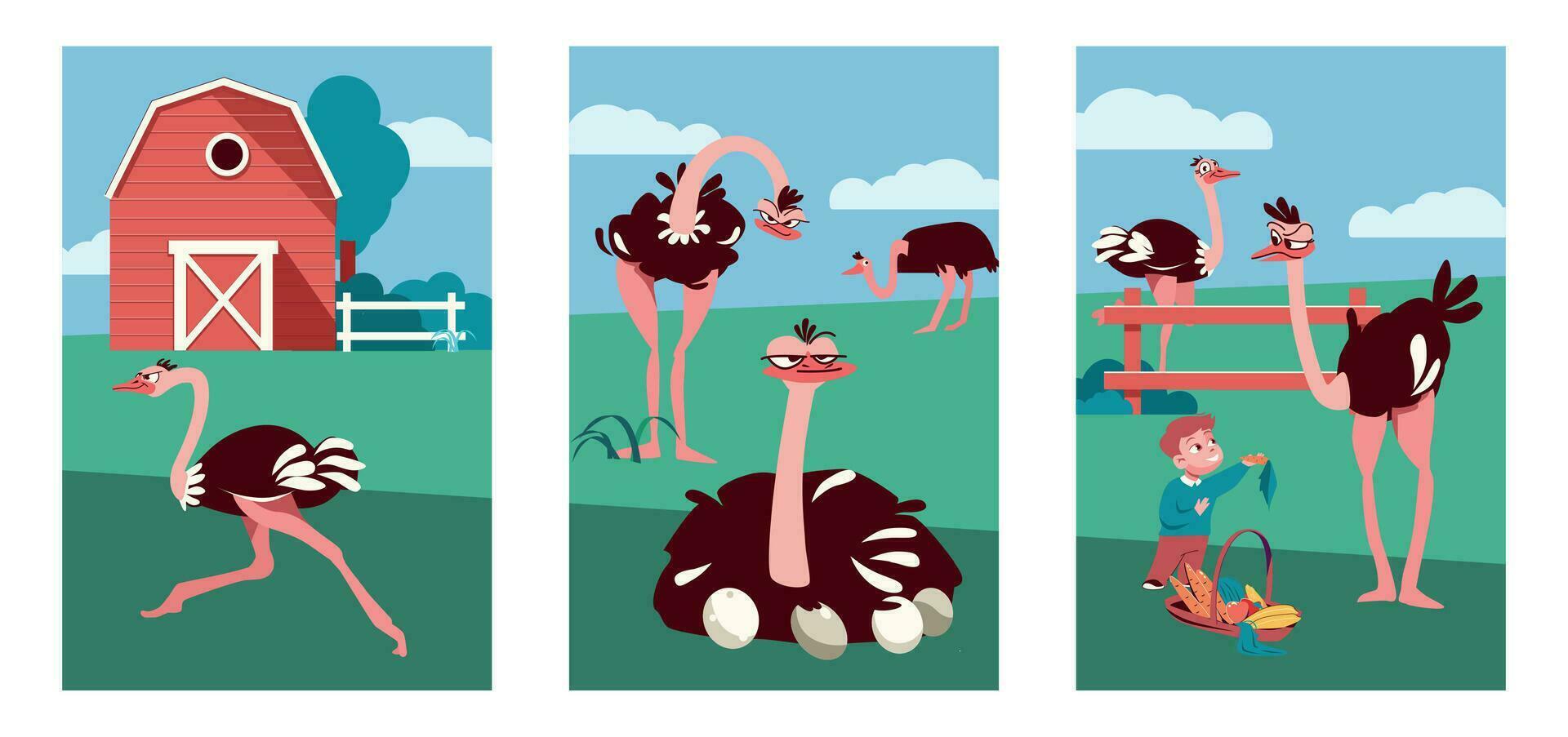 Ostrich Farm Vertical Compositions vector