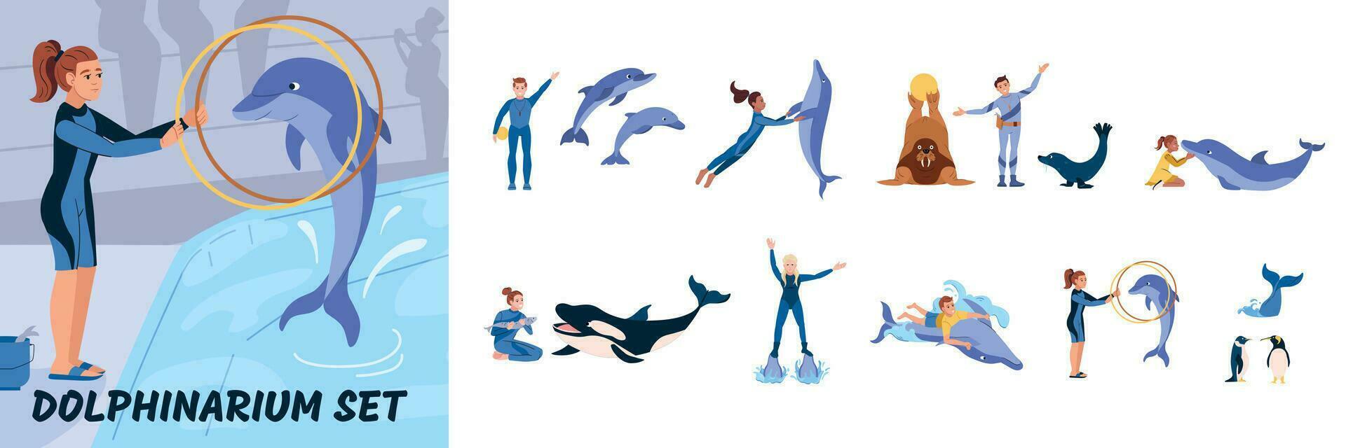 Dolphinarium Composition Set vector