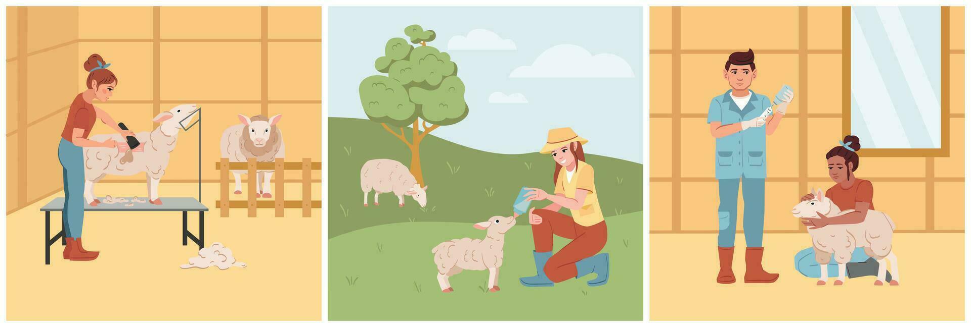 Sheep Breeding Flat Set vector