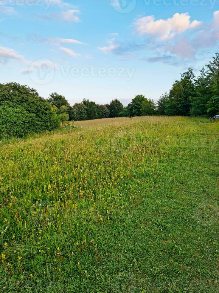 hermosa bajo ángulo ver de británico paisaje y campo foto