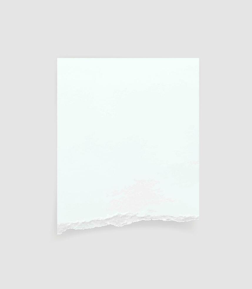 Torn paper edges. Ripped paper texture. Paper tag. White paper sheet for background with clipping path. Vector. vector