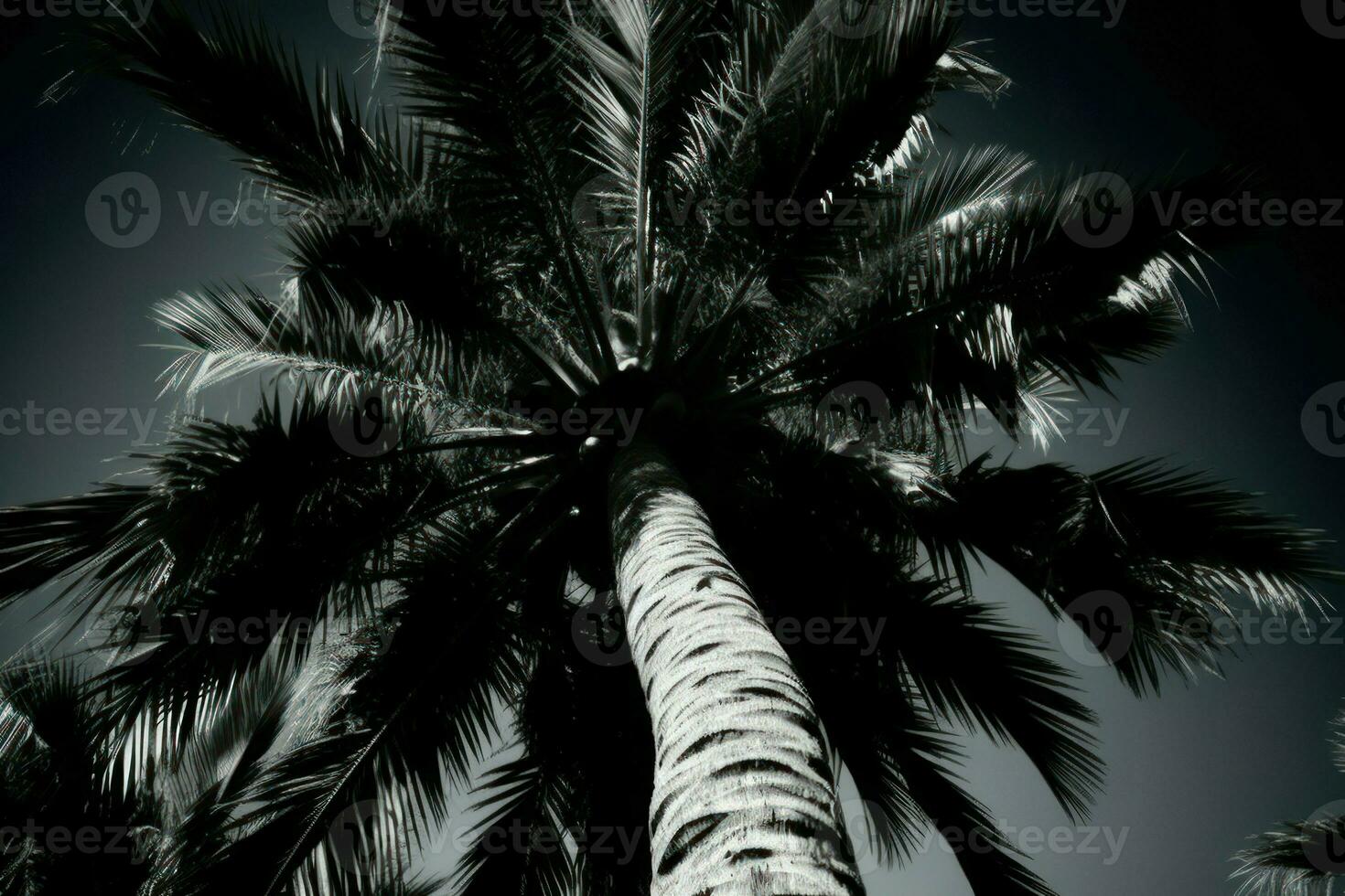 Palm tree night contrast. Generate Ai photo