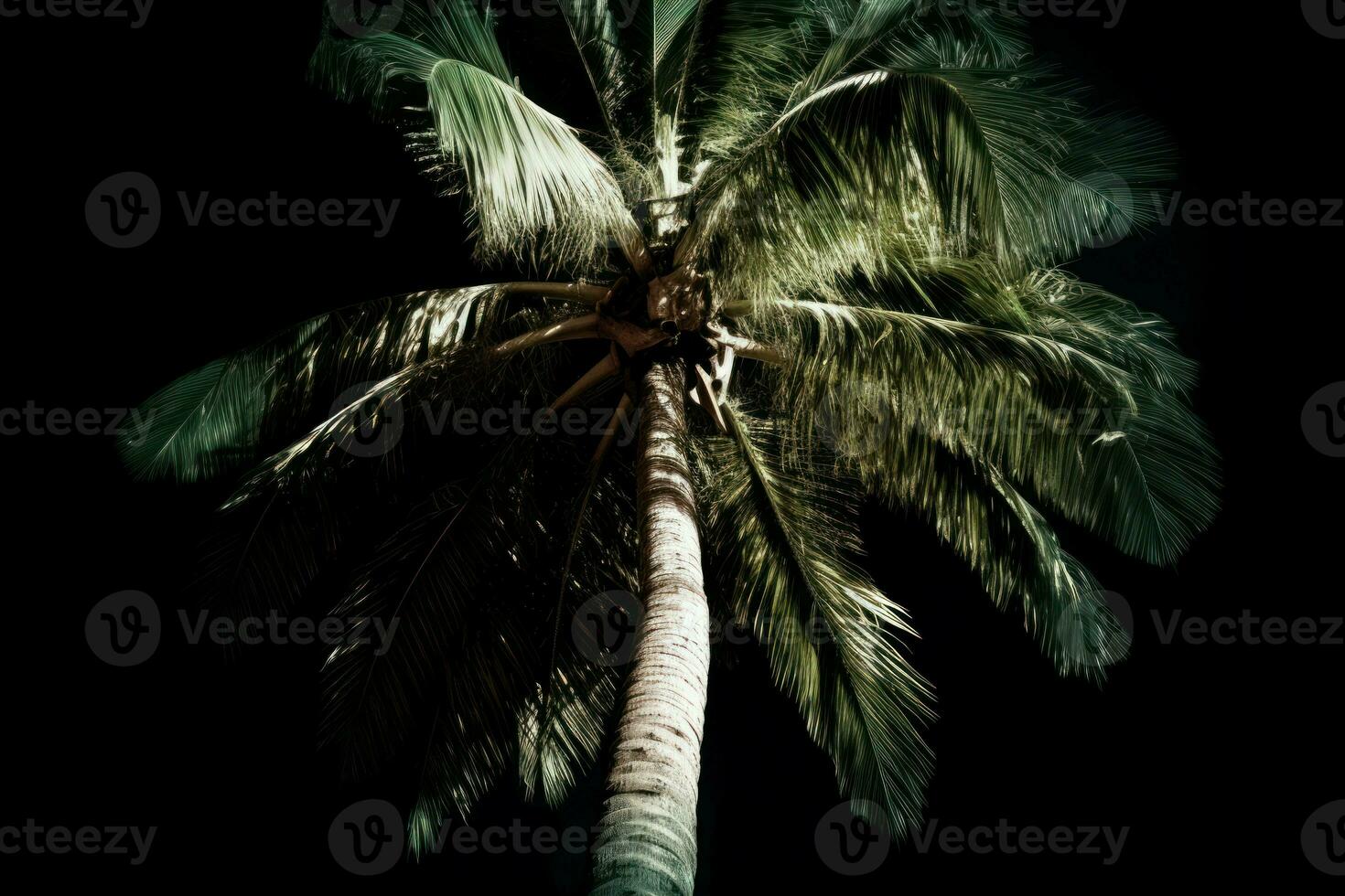 Palm tree night. Generate Ai photo